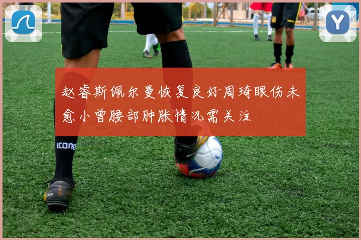 赵睿斯佩尔曼恢复良好周琦眼伤未愈小曾腰部肿胀情况需关注
